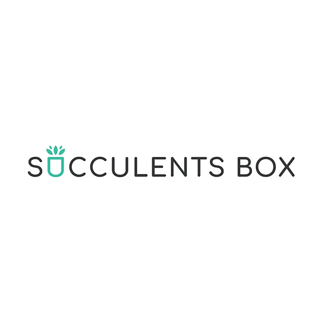 Succulents box