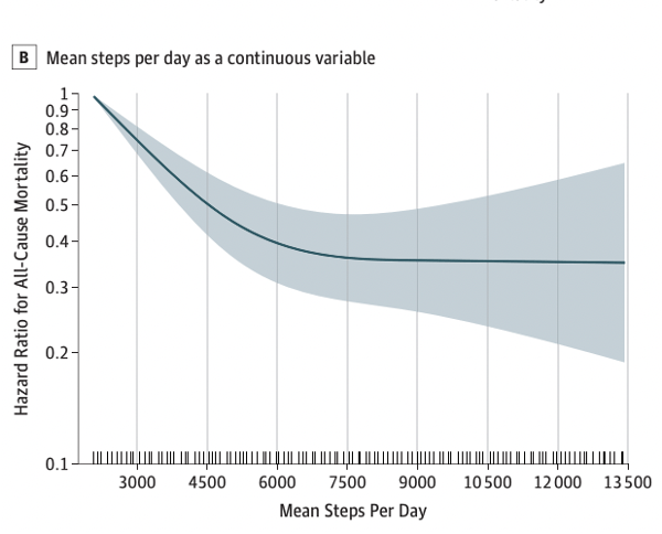 steps per day chart