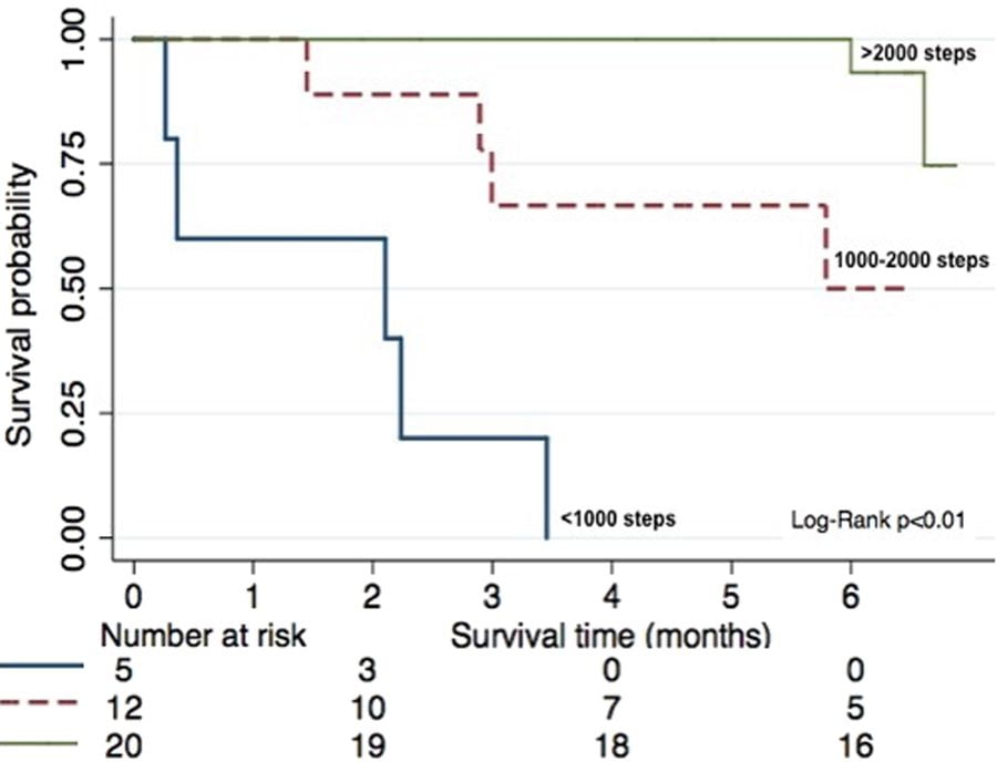 Fitbit Data Correlates with Patient Performance Status