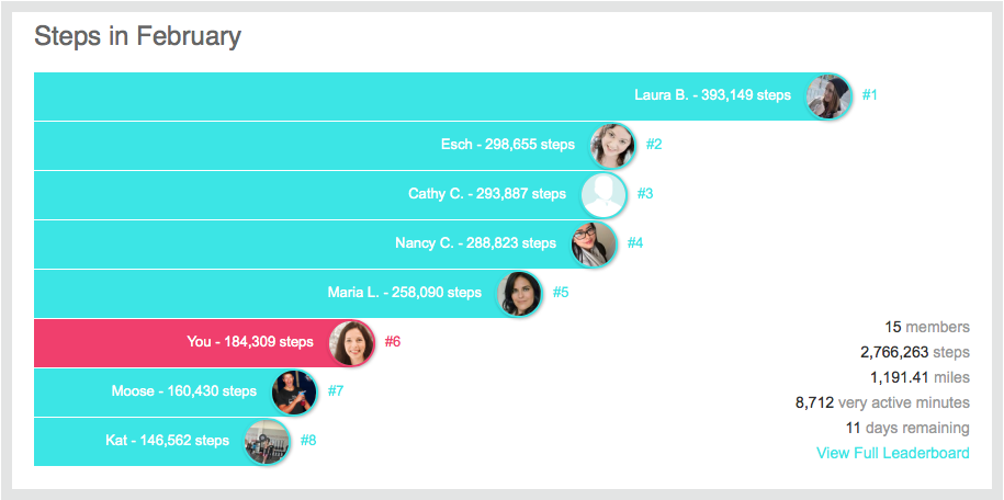 Steps in February leader board