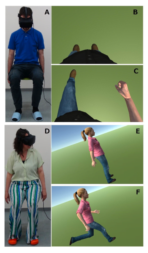 Study participants sit and watch a virtual avatar exercise