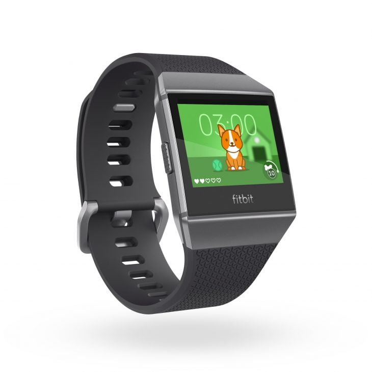 fitbit-labs-pet-2-730x730.jpg