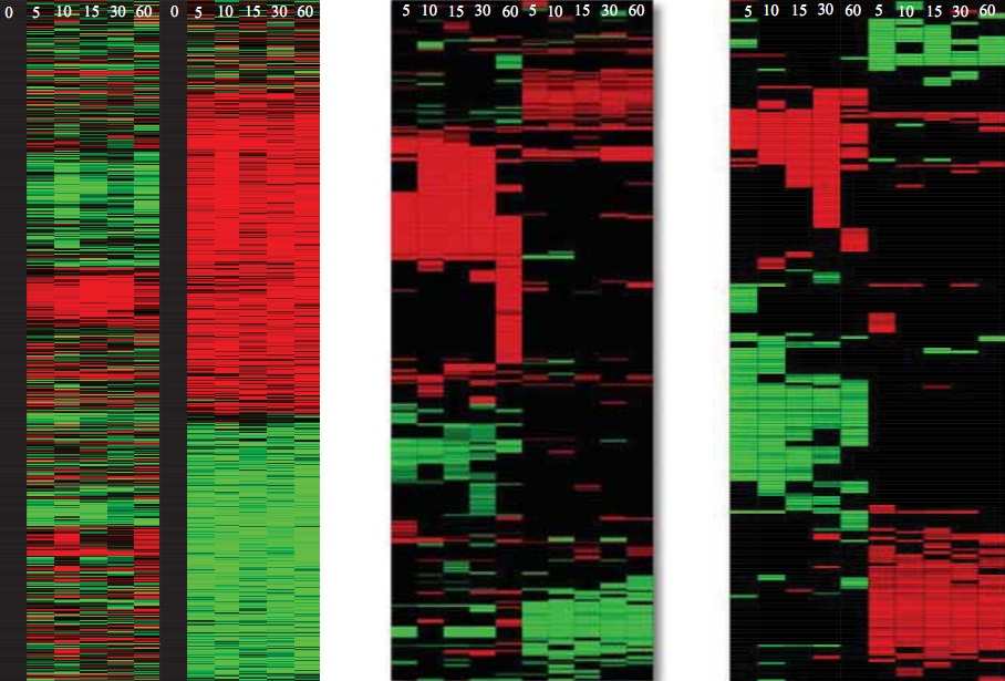 Study: Aetna Gets Wellness ROI Through Genetic Testing