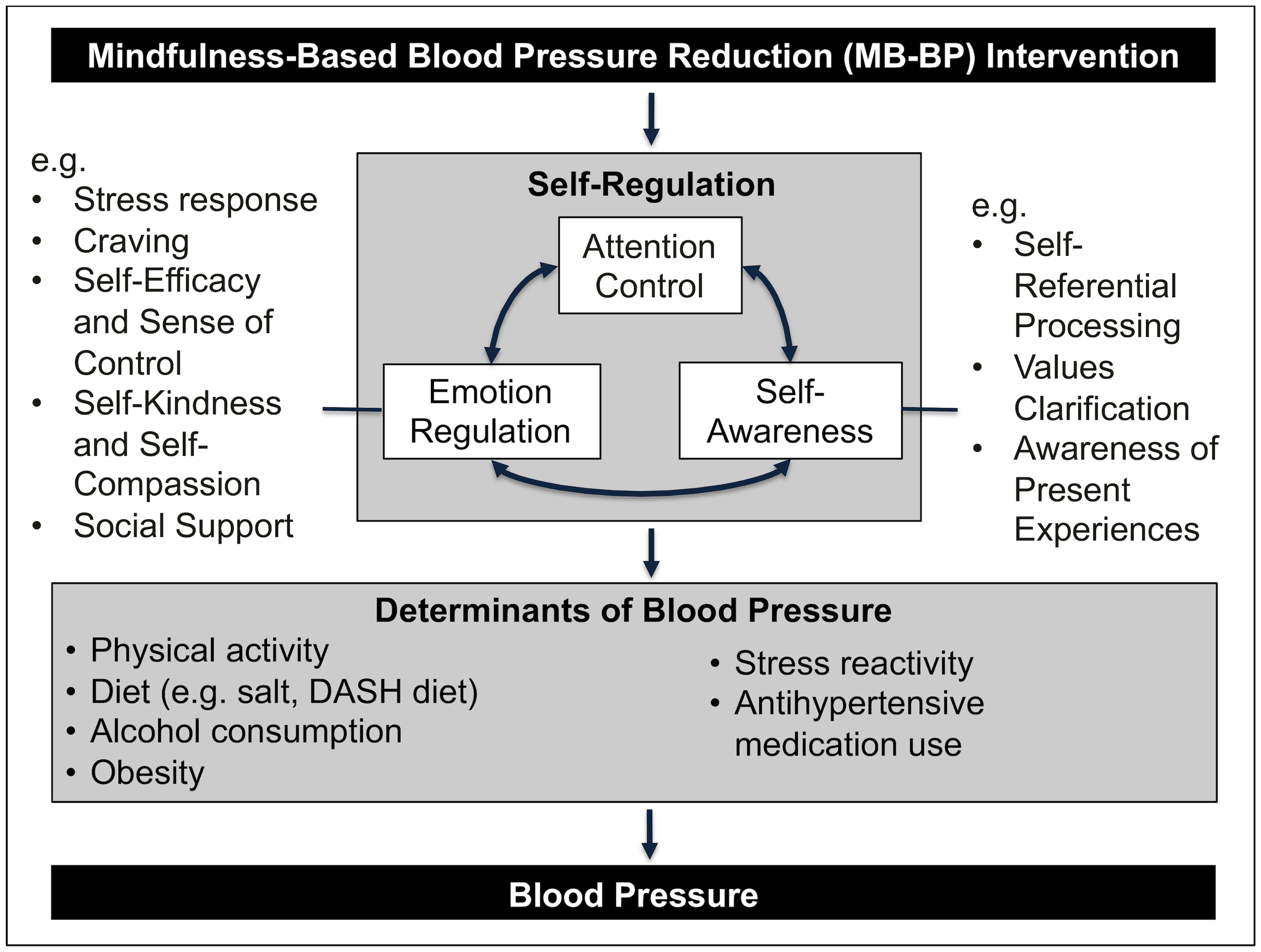 Mindfulness-Based Blood Pressure Reduction (MB-BP) Intervention