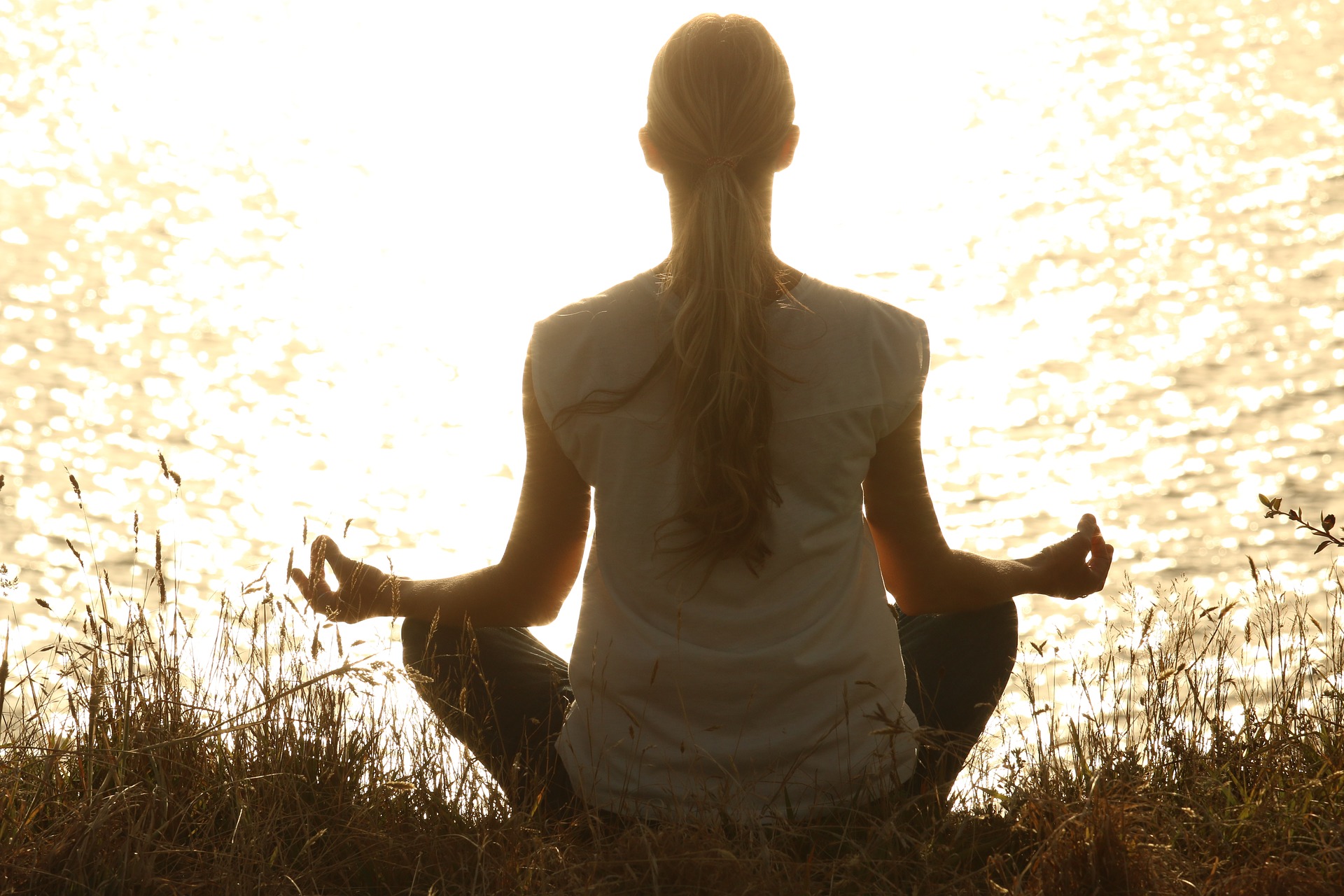 wellable meditation boosts employee wellness