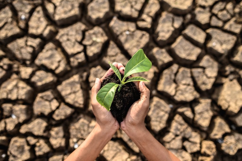 Earth Day Every Day: How to Promote A Sustainable Workplace