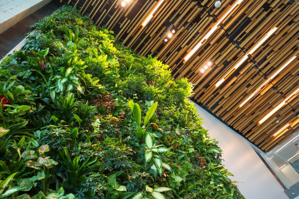 Living Wall