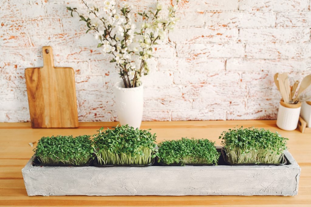 Herb planter